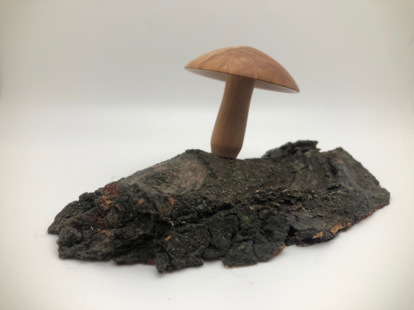 Wood turned Mushroom on base! Great for Mushroom Enthusiasts and Fairy Gardens alike!