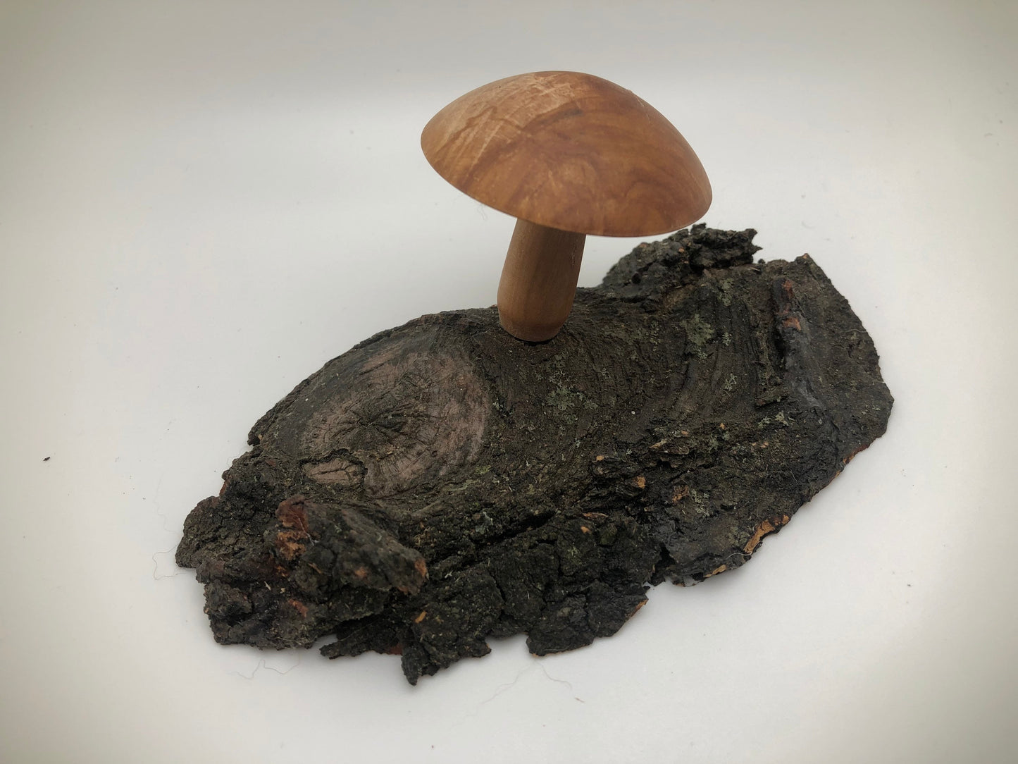 Wood turned Mushroom on base! Great for Mushroom Enthusiasts and Fairy Gardens alike!