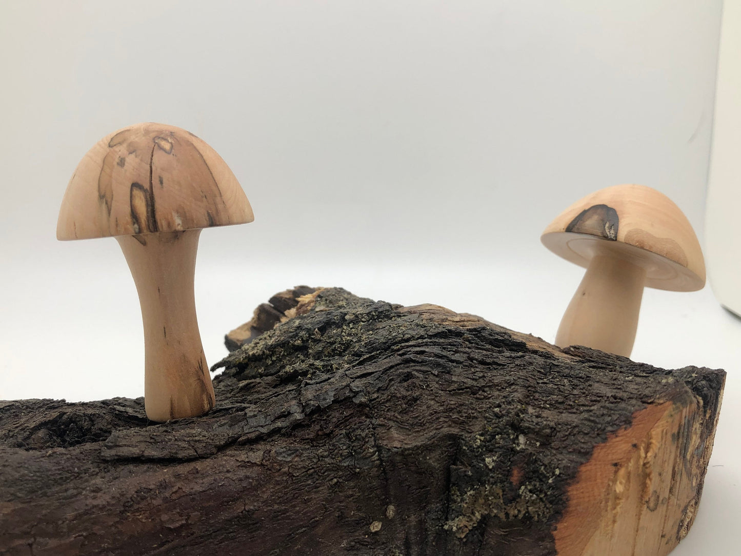 2 Japanese Maple Woodturned Mushrooms on Live Edge Japanese Maple Base! Made In USA! Very Rare Wood!