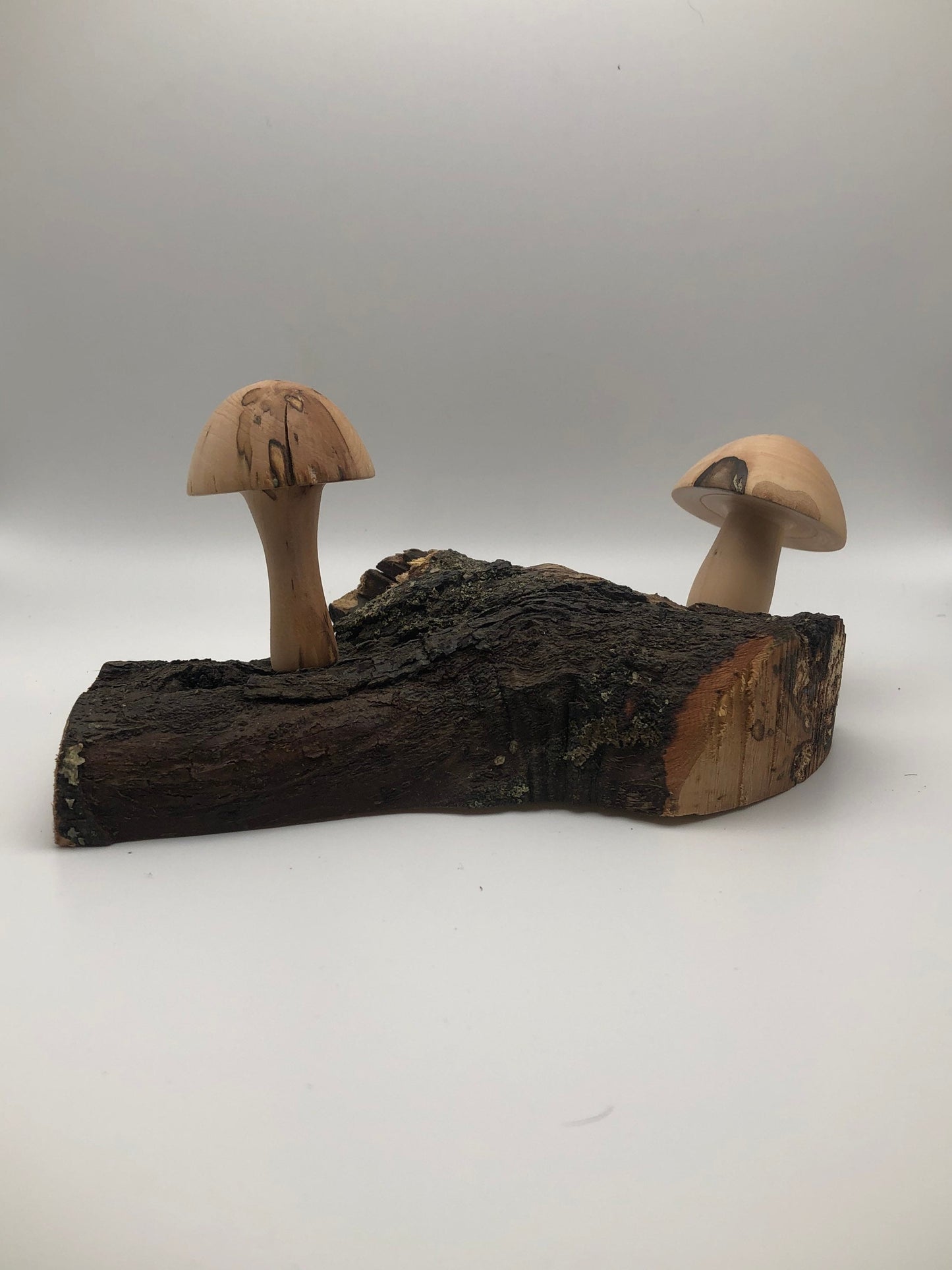 2 Japanese Maple Woodturned Mushrooms on Live Edge Japanese Maple Base! Made In USA! Very Rare Wood!