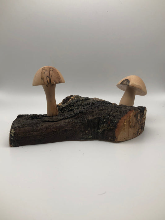 2 Japanese Maple Woodturned Mushrooms on Live Edge Japanese Maple Base! Made In USA! Very Rare Wood!