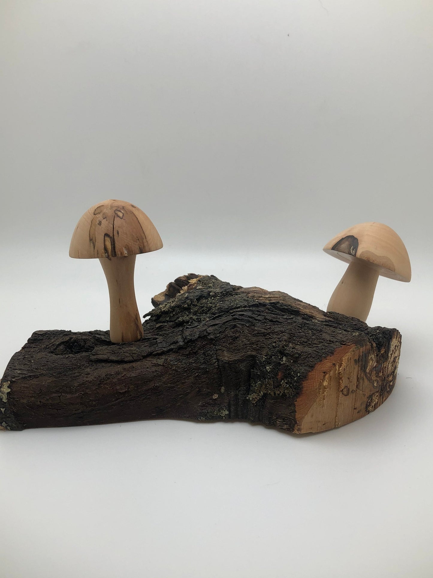 2 Japanese Maple Woodturned Mushrooms on Live Edge Japanese Maple Base! Made In USA! Very Rare Wood!