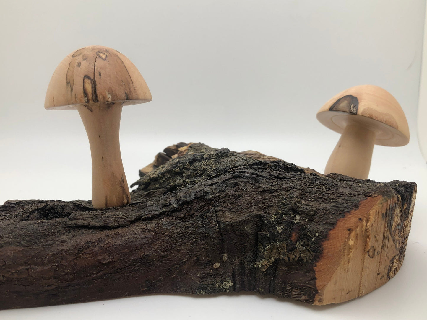 2 Japanese Maple Woodturned Mushrooms on Live Edge Japanese Maple Base! Made In USA! Very Rare Wood!