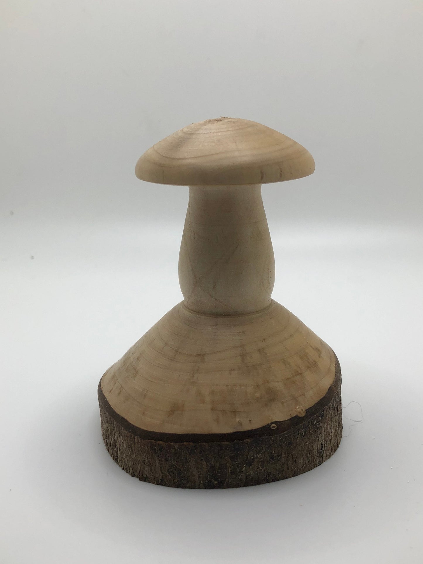 Handmade Toadstool! Carved from Magnolia Tree Branch!