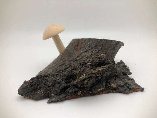 Handmade Woodturned Maple Mushroom miniature on Maple base