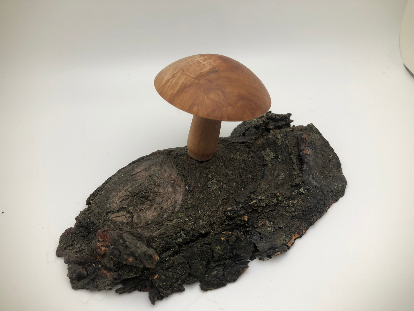 Wood turned Mushroom on base! Great for Mushroom Enthusiasts and Fairy Gardens alike!