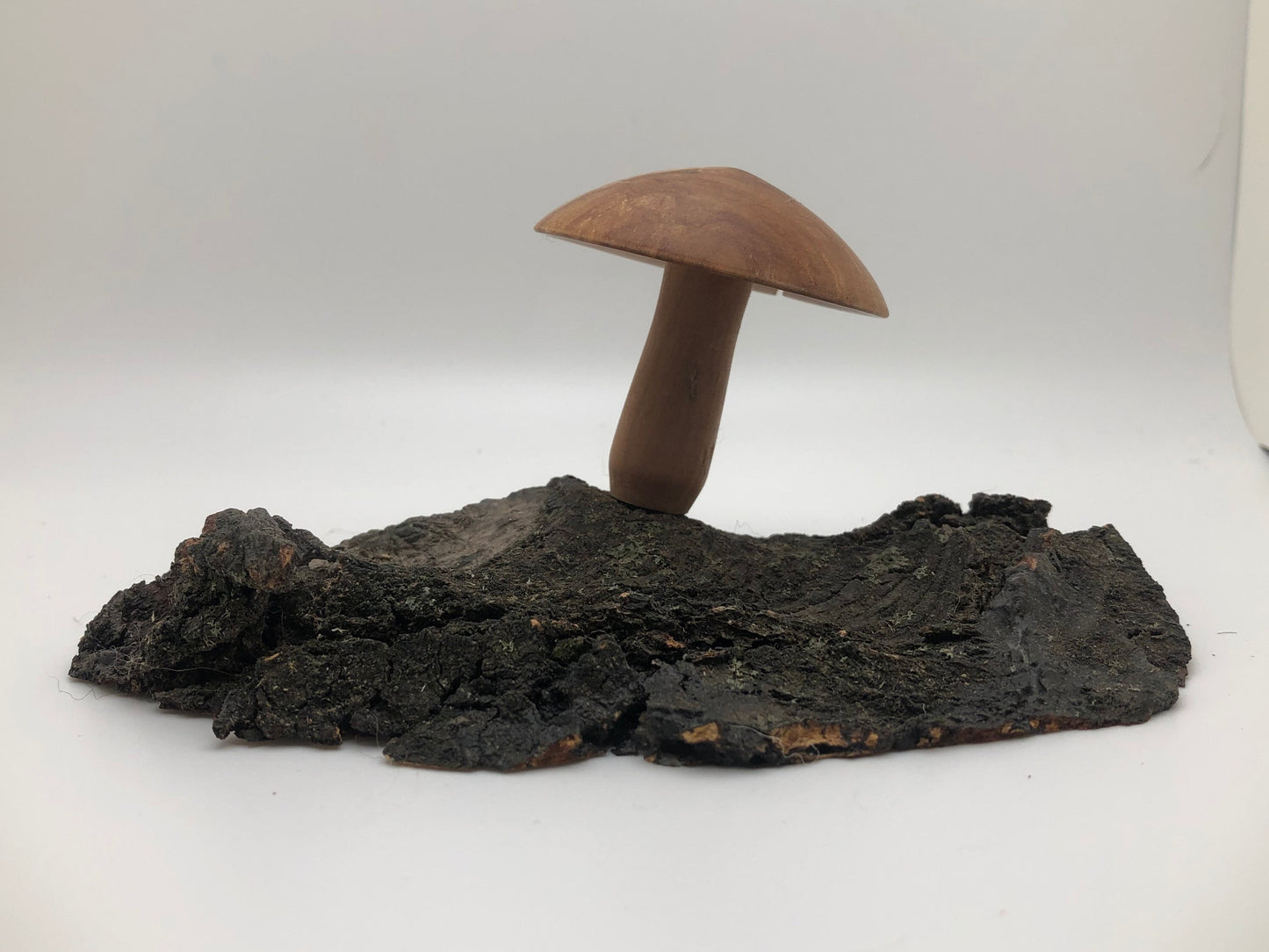 Wood turned Mushroom on base! Great for Mushroom Enthusiasts and Fairy Gardens alike!