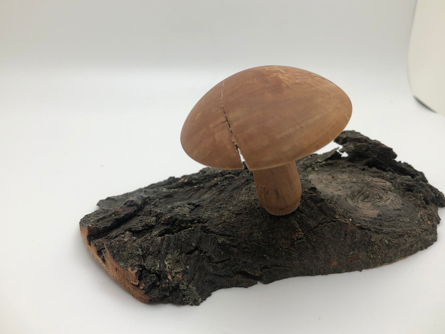 Wood turned Mushroom on base! Great for Mushroom Enthusiasts and Fairy Gardens alike!