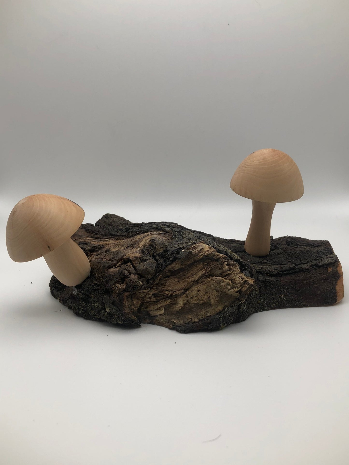 2 Japanese Maple Woodturned Mushrooms on Live Edge Japanese Maple Base! Made In USA! Very Rare Wood!