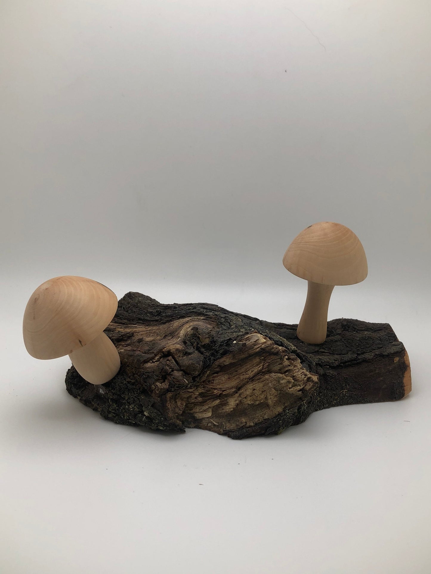 2 Japanese Maple Woodturned Mushrooms on Live Edge Japanese Maple Base! Made In USA! Very Rare Wood!