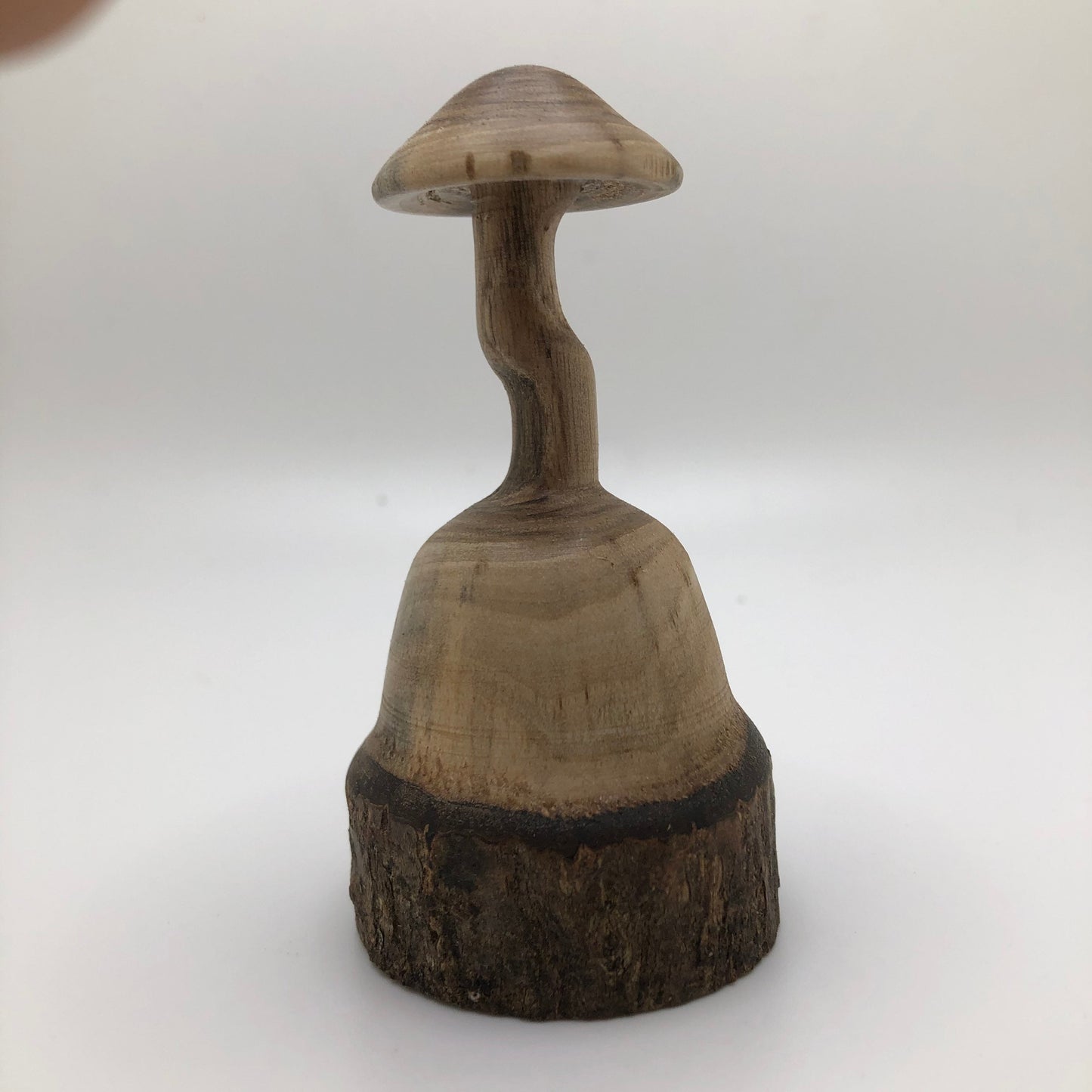 Small Wooden Mushroom Carved from Spalted Magnolia