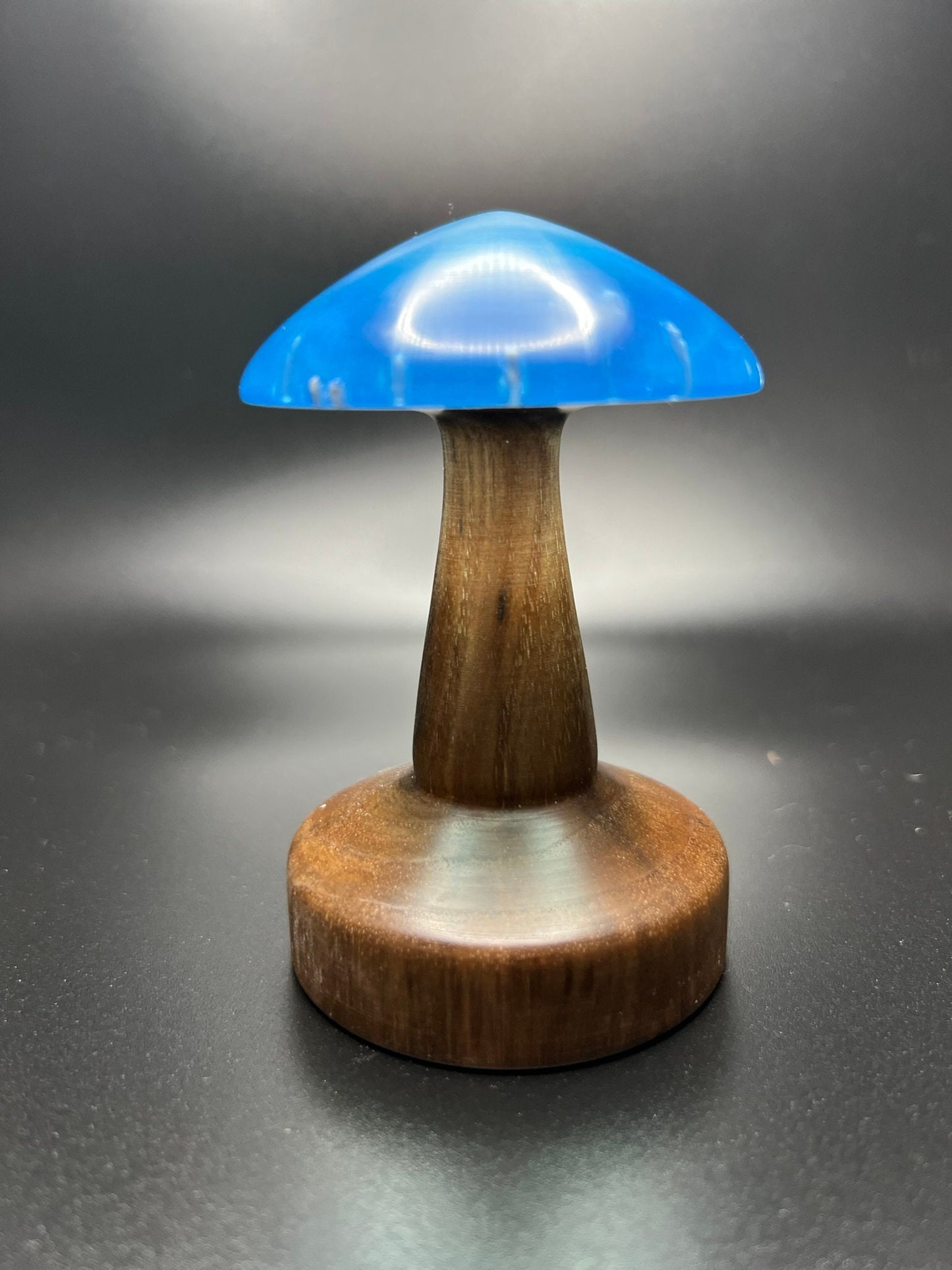 Wood Turned Epoxy and Maple Mushroom