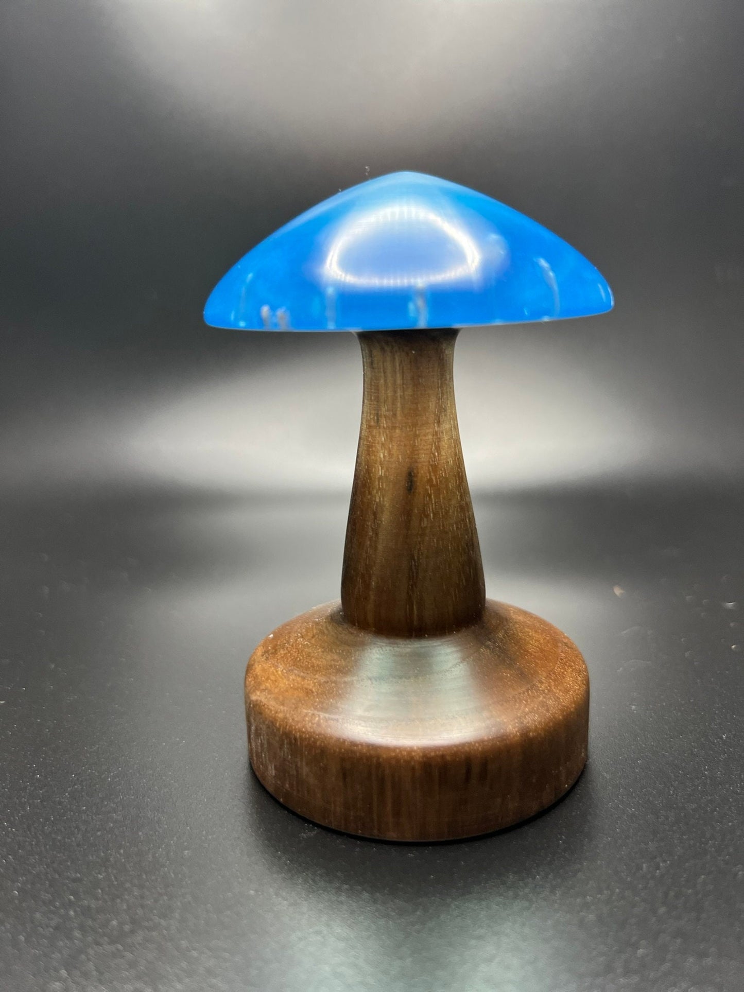 Wood Turned Epoxy and Maple Mushroom