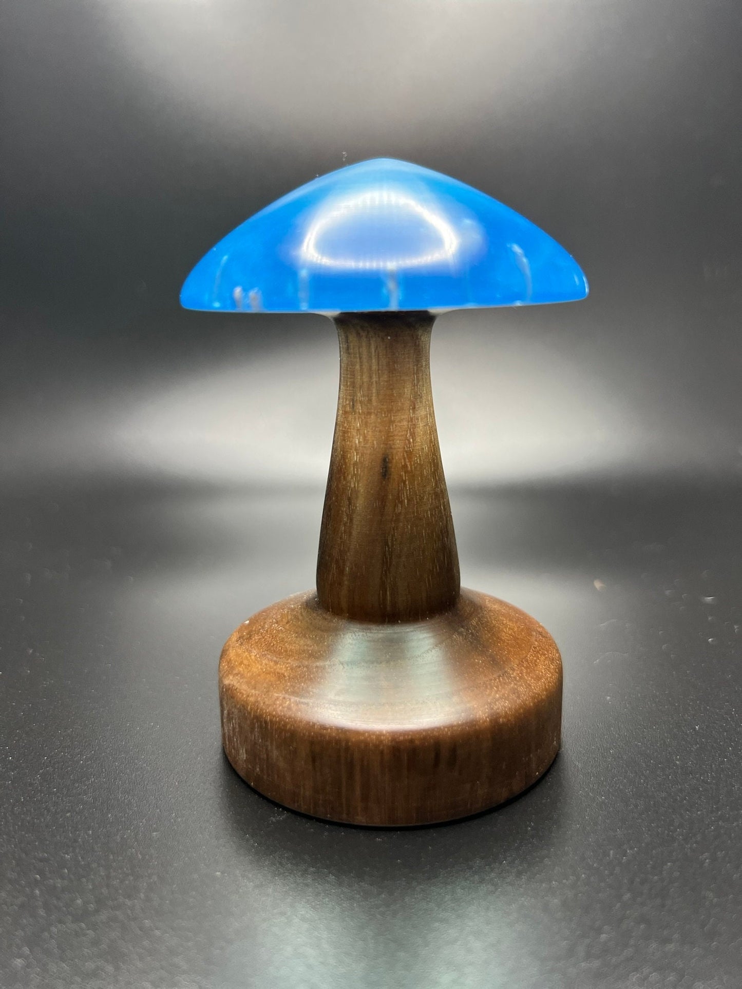 Wood Turned Epoxy and Maple Mushroom