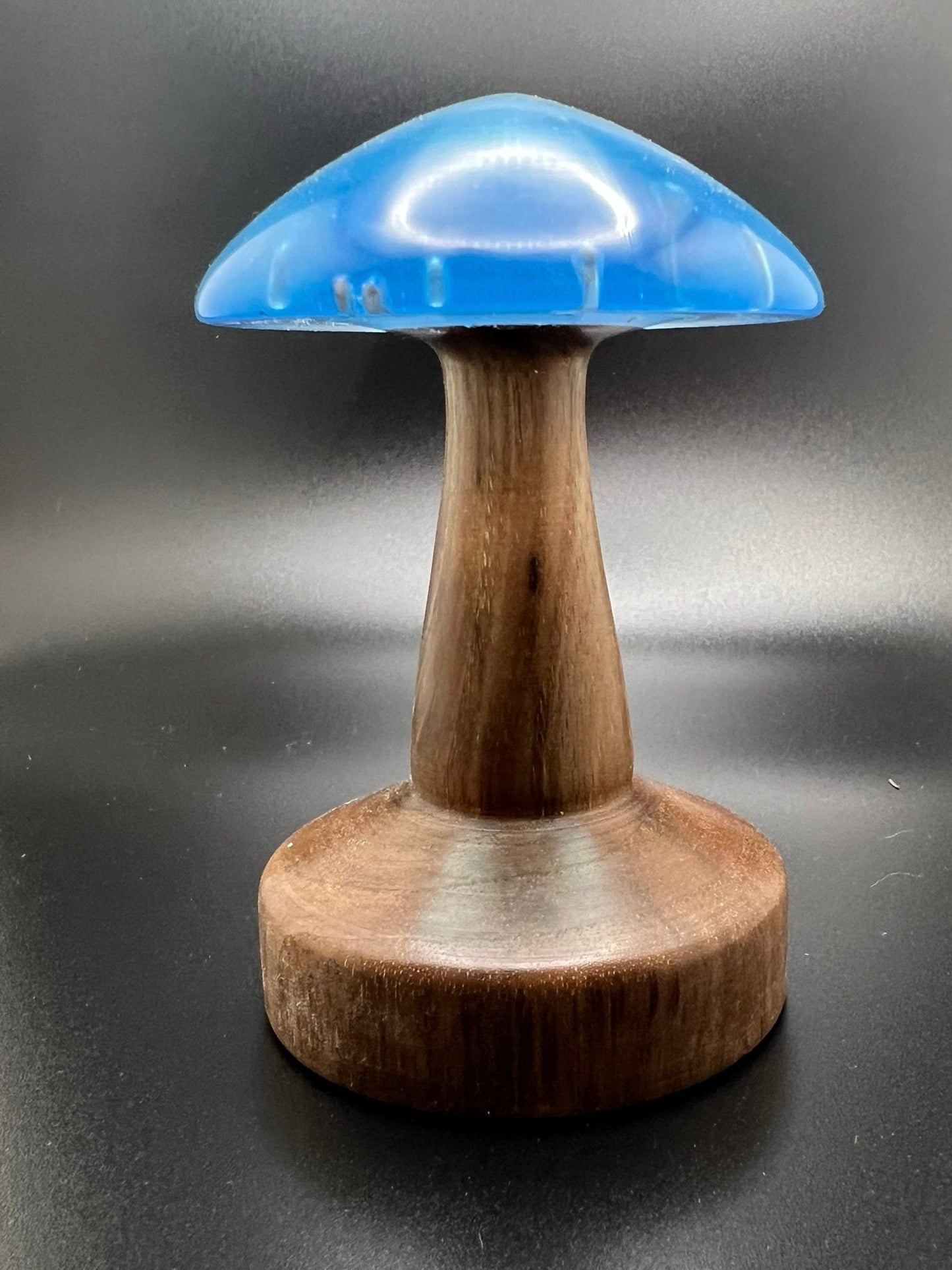 Wood Turned Epoxy and Maple Mushroom