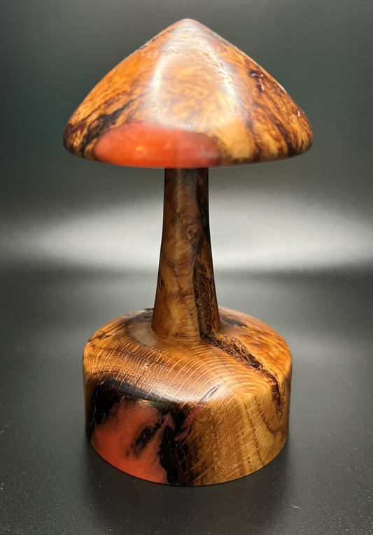 Cottagecore Style Wooden Mushroom Display Piece! Made From Red Oak