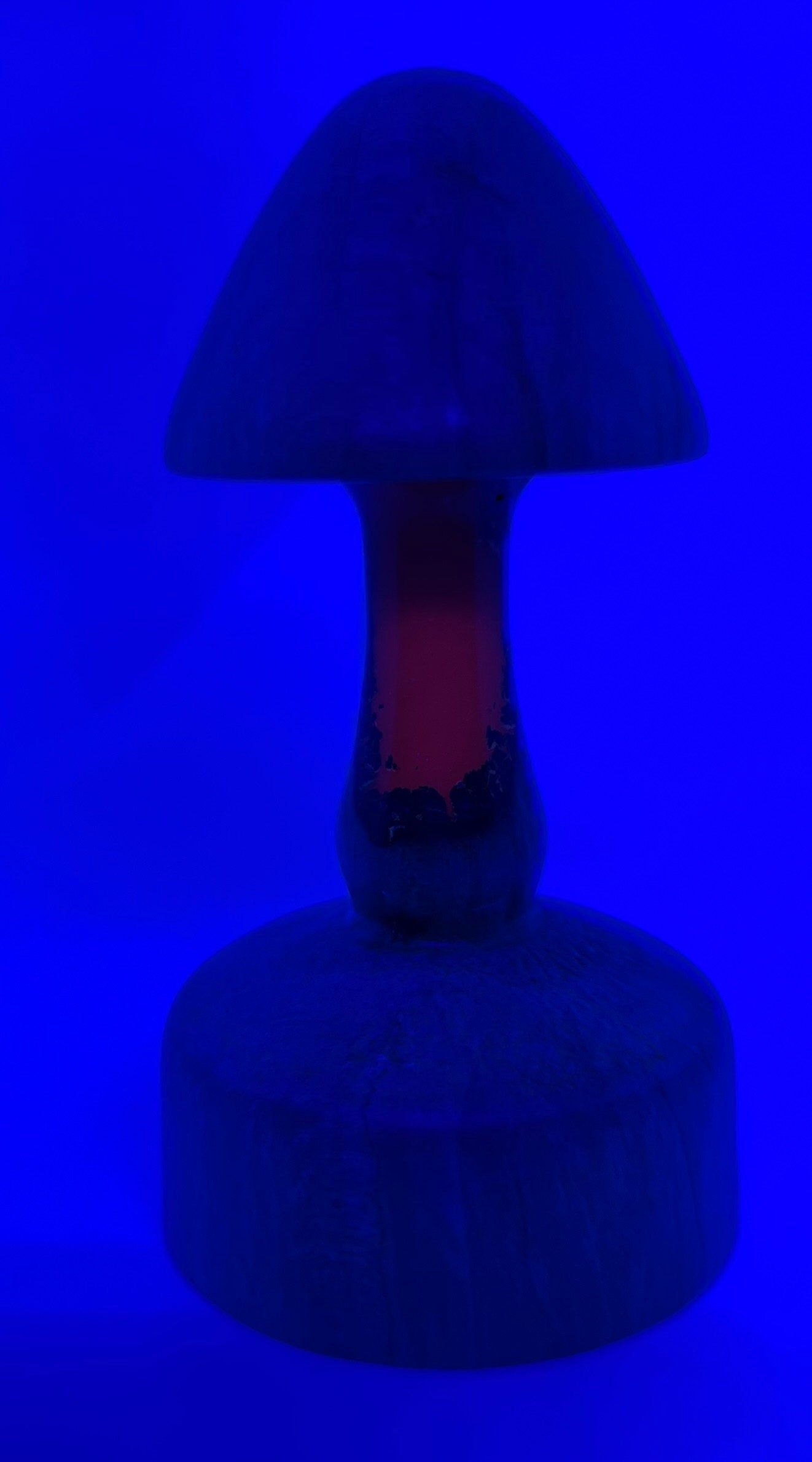 Handmade Wooden Mushroom With Glow in the Dark Epoxy Resin