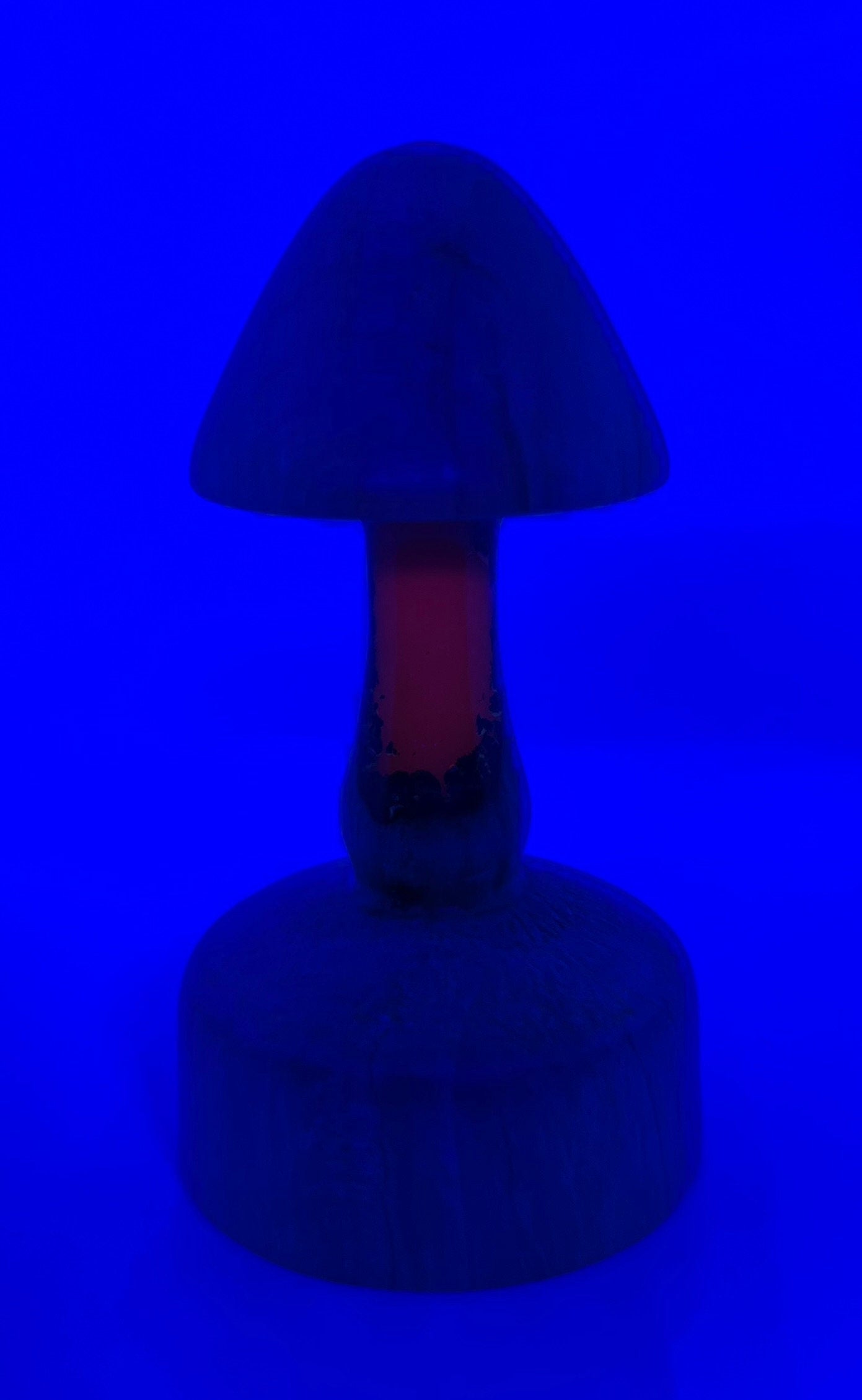 Handmade Wooden Mushroom With Glow in the Dark Epoxy Resin