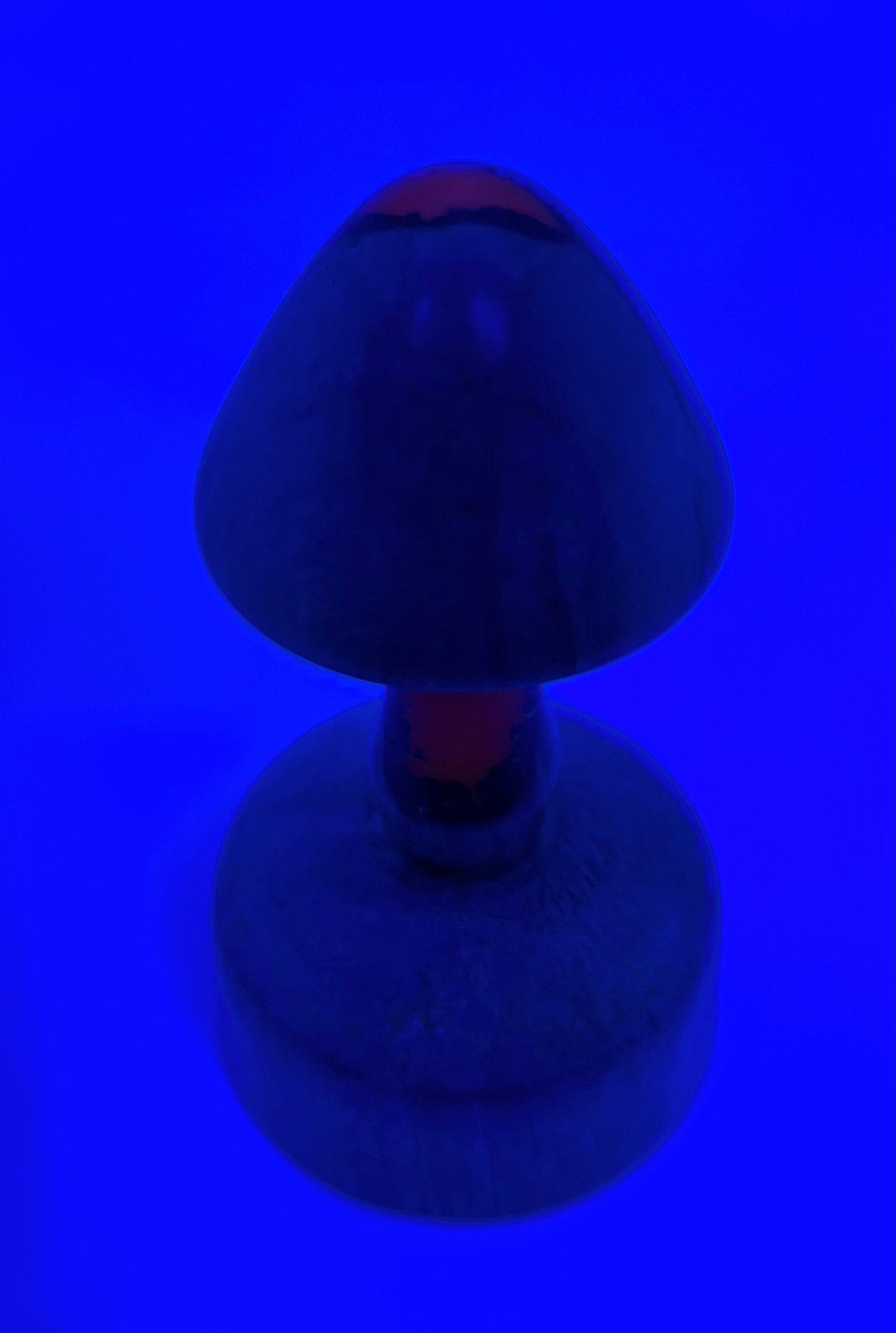 Handmade Wooden Mushroom With Glow in the Dark Epoxy Resin